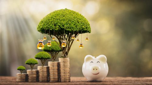 Piggy bank and stacked coin and gold money bag of tree with growing value as destinations in the public park, Saving money for planning business  investment in the future concept.